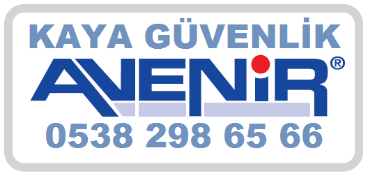 avenir dvr yazılımlari